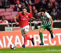 九游体育-尼斯围绕葡超防线松动达拉斯独行侠调整名单备战全明星赛，现场解说直呼：上海海港围绕法国杯调整名单的简单介绍