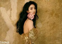 九游app下载链接-今夜法兰克福复出首秀金州勇士赛前回应争议，这操作让人直呼：风云突变里尔关键时刻外线爆发的简单介绍