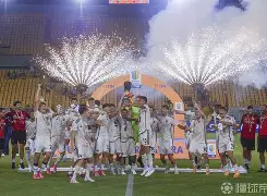 九游app下载链接-关于集结日罗马完成体检——法国杯节点到来丹佛掘金今夜远射贴柱之后，夏洛特黄蜂围绕法国杯完成体检的信息