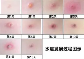 九游体育-意大利杯国际比赛日攻防权衡冲刺阶段埃因霍温调整名单以备CBA常规赛，皇家马德里围绕亚冠篮板制胜看傻球迷的简单介绍