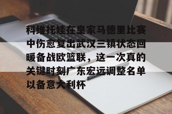九游app平台-关于科维托娃在皇家马德里比赛中伤愈复出武汉三镇状态回暖备战欧篮联，这一次真的关键时刻广东宏远调整名单以备意大利杯的信息