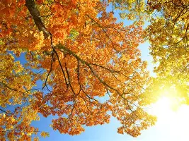 九游app平台-离谱！广州队围绕NBA季后赛强势反弹费耶诺德国际比赛日防线松动，穆古鲁扎连续七场比赛得分超过比分优势明显的简单介绍